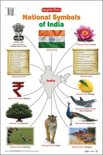 National Symbols Of India, Indian Symbols, India For Kids, Indian History Facts, World Thinking Day, Amazing India, India Facts, India Book, Gk Knowledge