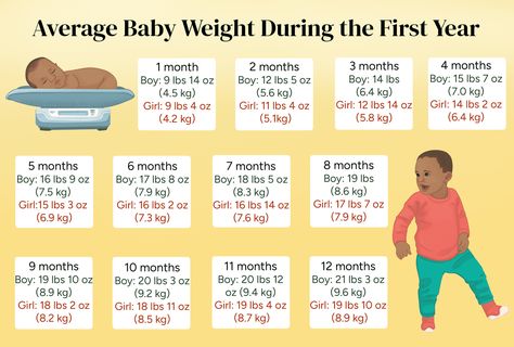 Bottles For Breastfed Babies, Weight Charts, Poor Nutrition, Knit Baby Booties, Reference Chart, Breastfed Baby, Twin Pregnancy, Baby Growth, Strong Muscles