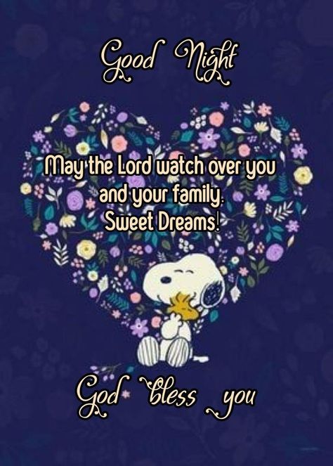 Funny Good Night Images Sleep, Good Night Sweet Dreams Sleep Tight, Goodnight Prayer, Funny Good Night Images, Sweet Dreams Sleep Tight, Evening Blessings, Nighttime Prayer, Good Night Blessings Quotes, Good Night Family