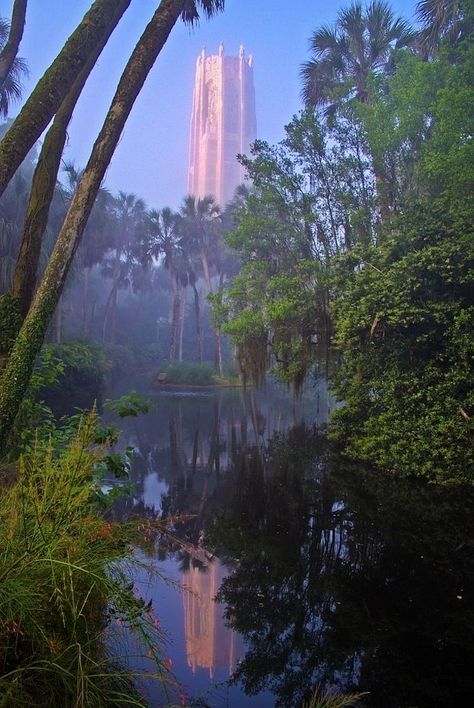 Bok Tower, Florida. Set in an orange grove, houses a library at the top dedicated to bells... I'm in love. Must visit someday... Best Seller Books, Lake Wales Florida, Book Tower, Places In Florida, Tower Garden, Old Florida, Vintage Florida, The Grove, Beautiful Places In The World