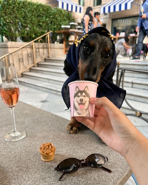 your digital postcard 💌 Nico hit the red carpet this weekend at the Willard Hotel’s Café du Park Dog Happy Hour, with proceeds supporting the DMV-based Humane Rescue Alliance @humanerescue We met incredible people and their dogs, along with some sweet foster pups. Can’t wait to do it again on October 27 for a Halloween-themed party—details on how to join coming soon! Special thanks to @willard_intercontinentaldc @cafeduparcdc for having us! ☁️ ••• #dogfriendlydc #dcdogs #dachshundsofinsta... Digital Postcard, Dog Happy, Do It Again, Halloween Party Themes, Party Details, October 27, Special Thanks, The Red Carpet, Themed Party