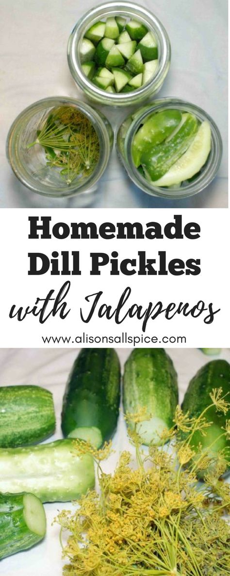 Pickles Cucumbers, Homemade Dill Pickles, Pickled Sweet Peppers, Homemade Pickles Dill, Dill Pickle Recipe, Canning Pickles, Jalapeno Recipes, Pickle Recipe, Pickled Garlic