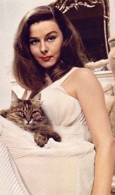 Elaine Stewart Elaine Stewart, Classic Film Stars, Gina Gershon, Gina Lollobrigida, Retro Beauty, Italian Actress, Glamour Shots, Cat People, British Actresses