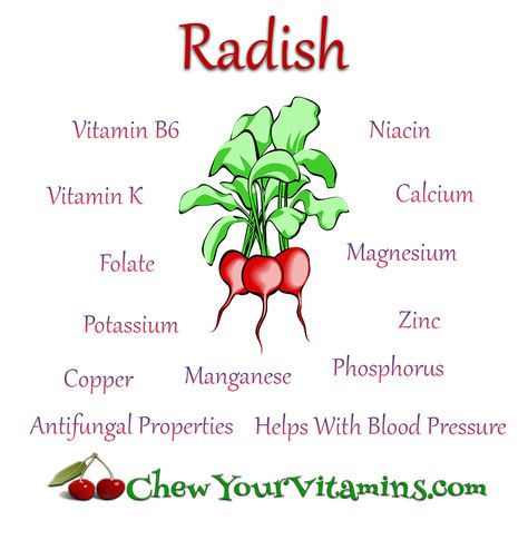 Radish Benefits, Health Benefits Of Radishes, Healthy Food Chart, Fruit Health, Fruit Health Benefits, Different Types Of Vegetables, Vegetable Benefits, Food Chart, Food Health Benefits