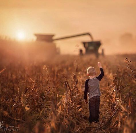 Harvest Photos, Farm Family Pictures, Farming Photography, Agriculture Photography, Farm Photos, Farm Pictures, Farm Family, Combine Harvester, Farm Kids