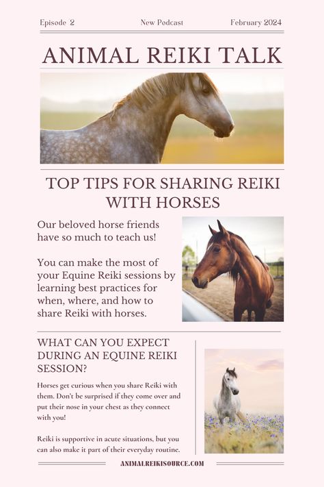 Horses are incredible teachers, and there is so much we can learn from them! 🐴 If you're already (or even interested!) in sharing Reiki with horses, discovering top tips for Equine Reiki can deepen your connection and help you make the most of your time together. Horses Tips, Animal Reiki, Energy Healing Reiki, Horse Tips, Reiki Energy, Amazing Animals, Reiki Healing, Top Tips, Energy Healing