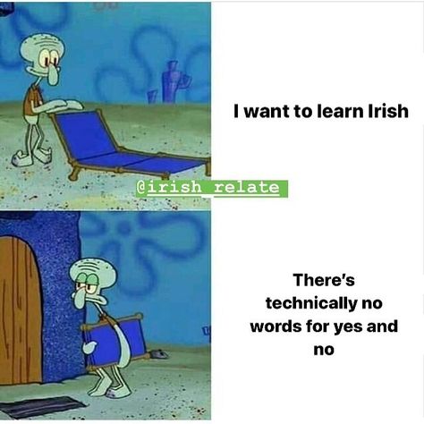 Irish Memes, Animal Crossing Memes, Shall We Date, Dungeons Dragons, Spongebob Memes, Hilarious Memes, Memes Humor, Really Funny Memes, Best Memes