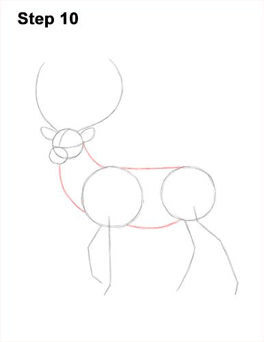 Draw a Red Deer Buck 10 Drawing Deer Sketches, Stag Drawing Easy, How To Draw A Stag, How To Draw A Deer, How To Draw Deer, Deer Video, Deer Drawing Easy, Draw Deer, Draw A Deer