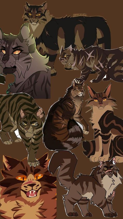 warriors cats tigerstar Warrior Cats Tigerstar, Warrior Cats Comics, Warriors Cats, Cat Comics, Warrior Cat, Warrior Cats, Kitty, Comics, Quick Saves