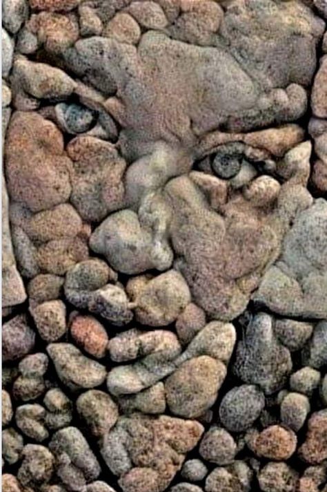 Stone Pictures Pebble Art, Garden Rock Art, Rock Sculpture, Afrique Art, Art Stone, Rock And Pebbles, Art Rock, Ancient Tree, Stone Crafts