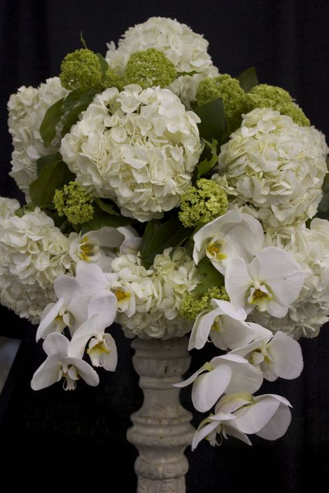 Gorgeous mix of white and green hydrangea, green Viburnum (like mini hydrangea) and white Phaleonopsis orchid sprays. All set on a wrought iron pedestal stand. - Design by J. Morris Flowers. White Green Hydrangea, Hydrangea Urn Arrangement, Limelight Hydrangea Wedding Centerpieces, Green And White Hydrangea Centerpiece, White And Green Hydrangea Bouquet, Orchid And Hydrangea Bouquet, Ranunculus Wedding Centerpieces, Green Orchid Bouquet, Hydrangea And Peony Bouquet