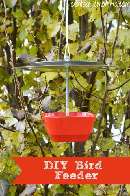 Easily create your own DIY Bird Feeder using just an inexpensive plastic plate and bowl, some bolts, and a drill.  Your birds will be happy, and the bird feeder would also make a great gift! Bird Feeders Diy, Homemade Bird Feeder, Mary Garden, Bird Feeder Craft, School 2021, Homemade Bird Feeders, Pot Design, Diy Bird Feeder, Diy Birds