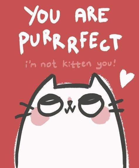 You are purrfect ! Cat Pun, Meow Mix, Cat Puns, Love Puns, Lovely Pictures, Cute Puns, Cat Valentine, Cat Quotes, Funny Puns