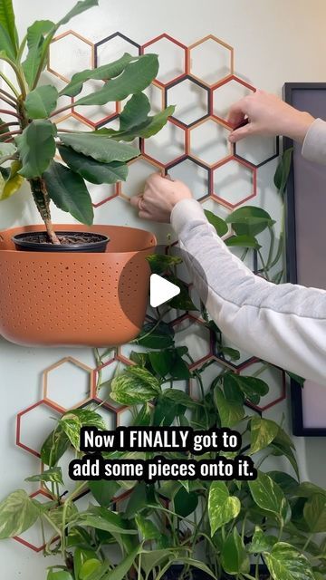 Super Trellis on Instagram: "No Fuss Plant Wall! . So excited to share this plant wall with you! It was so easy to put up, and my pothos is TAKING IT OVER.  . Every time it outgrows the trellis I add more to the top, and I plan on wrapping it around our television, so stay tuned.  . IG-@SuperTrellis FB-Super Trellis TikTok-SuperTrellis SuperTrellis.com . #plants#plantsofinstagram#planstagram#plantsmakepeoplehappy#plantsplantsplants#houseplantsofinstagram#urbanjungle#supertrellis#indoorjungle#trellis#indoorplantsofinstagram#indoorgarden#pothos #plantwall" Pothos Wall, White Picket Fence, Picket Fence, Plant Wall, Stay Tuned, So Excited, Fence, The Top, To Share