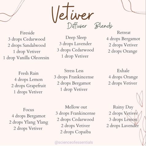 Vetiver Diffuser Blends, Doterra Diffuser Blends, Essential Oil Combinations, Vetiver Essential Oil, Essential Oils Collection, Essential Oil Diffuser Blends Recipes, Essential Oils Guide, Diy Aromatherapy, Essential Oil Diffuser Recipes