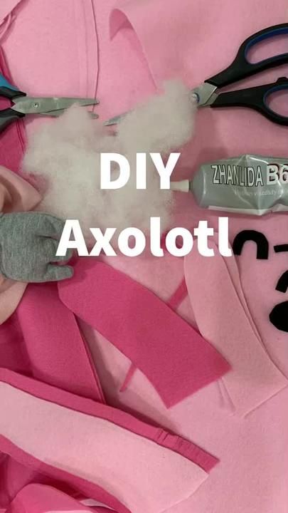 Axolotl Costume Diy, Diy Axolotl, Axolotl Costume, Book Week Costume, Book Week, Diy Costumes, That Look, Halloween, Books