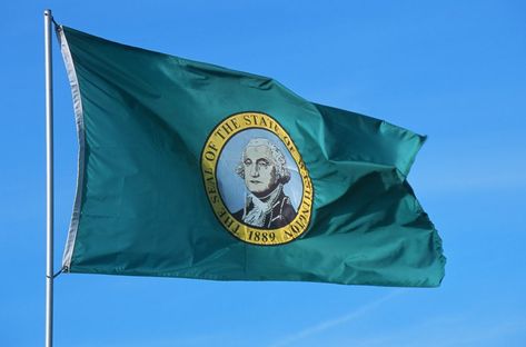 Washington State Flag, American State Flags, Us States Flags, Us Flags, South Dakota State, Flag Store, Evergreen State, Green Street, Flag Art