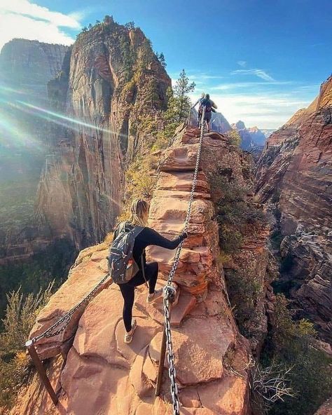 Angels Landing Zion National Park, Zion National Park Photography, Angels Landing Zion, Woman Hiking, Cross Country Trip, Angels Landing, Artsy Photos, American Road Trip, National Parks Trip