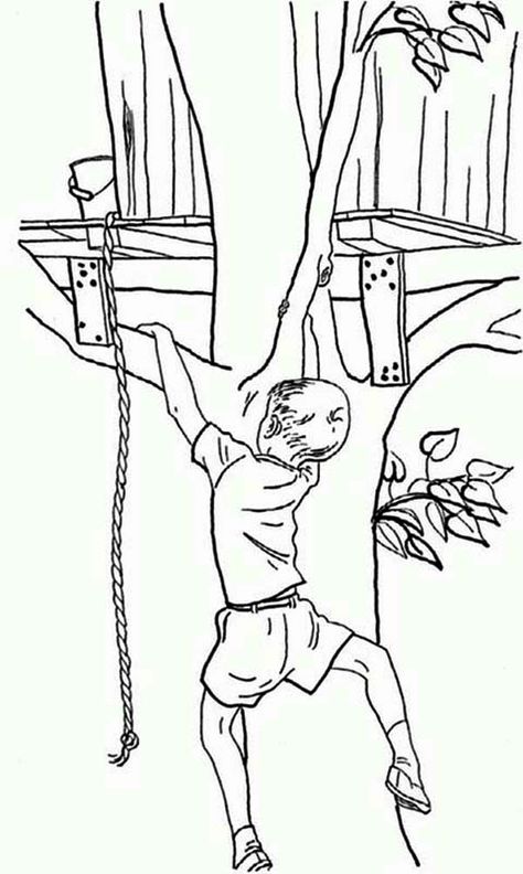 Boy Climb His Treehouse Without A Rope Coloring Page : Color Luna Summer Coloring Sheets, Sports Coloring Pages, Picture Tree, Tree Coloring Page, Bible Coloring Pages, Detailed Coloring Pages, Cars Coloring Pages, Bible Coloring, Tree Illustration