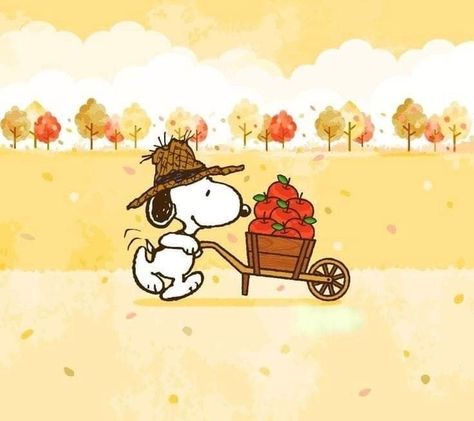 Snoopy October, Snoopy Gifs, Thanksgiving Snoopy, Thanksgiving Prints, Snoopy Watch, Snoopy Drawing, Snoopy Tattoo, Charlie Brown Thanksgiving, Good Morning Snoopy