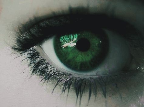 𝒜ℯ𝓈𝓉𝒽ℯ𝓉𝒾𝒸🕊 Emerald Green Eyes Aesthetic, Green Eyes Aesthetic, Emerald Green Eyes, Eyes Aesthetic, Emerald Eyes, Green Eye, Green Eyes, Picture Quotes, Emerald Green