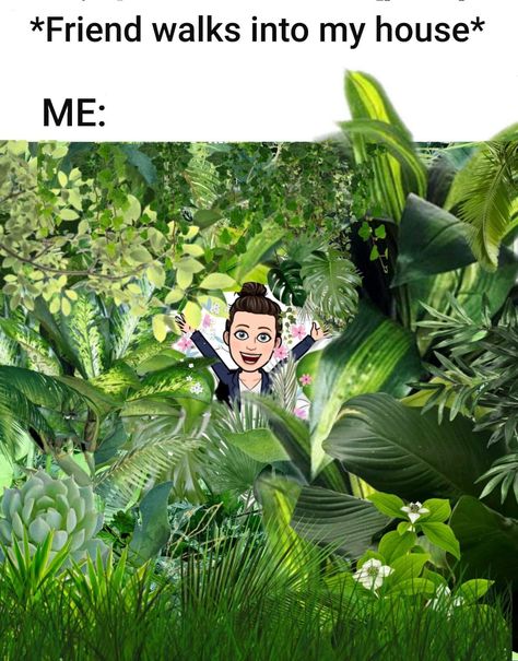 Plant Jokes, Gardening Memes, Gardening Humor, Plants Quotes, Plant Problems, Garden Quotes, Plant Aesthetic, Plant Mom, Plant Lady