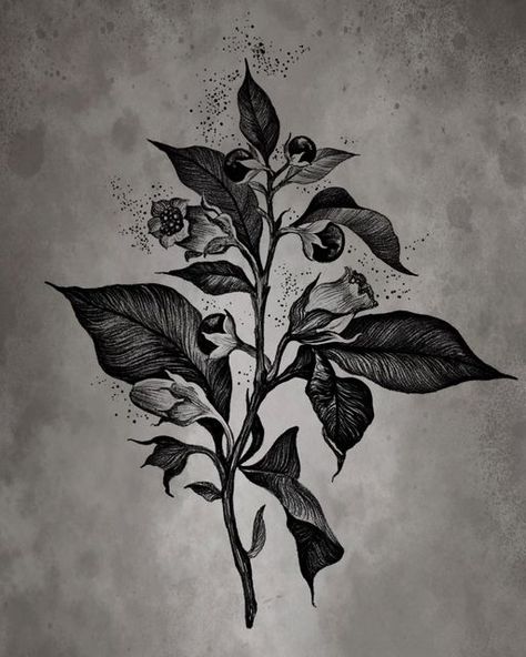 Dark Delicate Tattoo, Nightshade Tattoo Design, Poisonous Flower Bouquet Tattoo, Deadly Night Shade Flower Tattoo, Dark Nature Tattoo Ideas, Night Shade Flower Tattoo, Witchy Plant Tattoo, Wilted Flowers Tattoo, Belladona Flower Tattoo