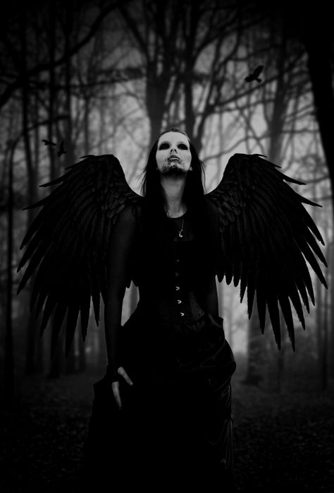 Demon Costume, Vampire Pictures, Gothic Angel, Dark Wings, Black Angels, Dark Fairy, Dark Gothic, Angels And Demons, Dark Angel