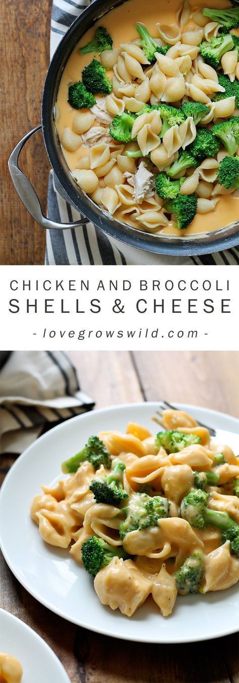 Perfectly creamy homemade shells and cheese made with chicken and broccoli. Everyone loves this easy weeknight meal! Homemade Shells And Cheese, Shells And Cheese, Cheese Stuffed Shells, Chicken And Broccoli, God Mat, Easy Weeknight, Easy Weeknight Meals, Cheese Sauce, Tortellini