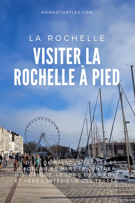 Visiter La Rochelle à pied : 5 idées de balades en ville et alentours Turtles, France