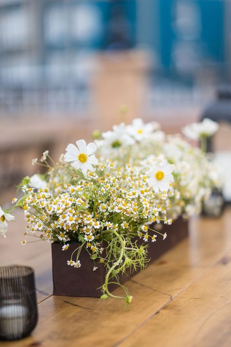 Daisy Wedding Centerpieces, Diy Engagement Decorations, Grad Party Centerpieces, Christening Themes, Daisy Centerpieces, Rustic Rehearsal Dinners, White Cosmos, Wildflower Centerpieces, Lemon Themed Bridal Shower