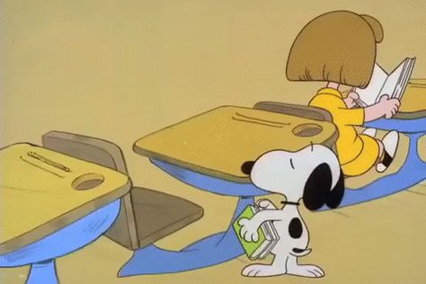 Silly Snoopy, Studying Gif, Snoopy Gifs, Gifs Snoopy, Snoopy School, Snoopy Videos, Snoopy The Dog, Snoopy Holiday, Snoopy Gif