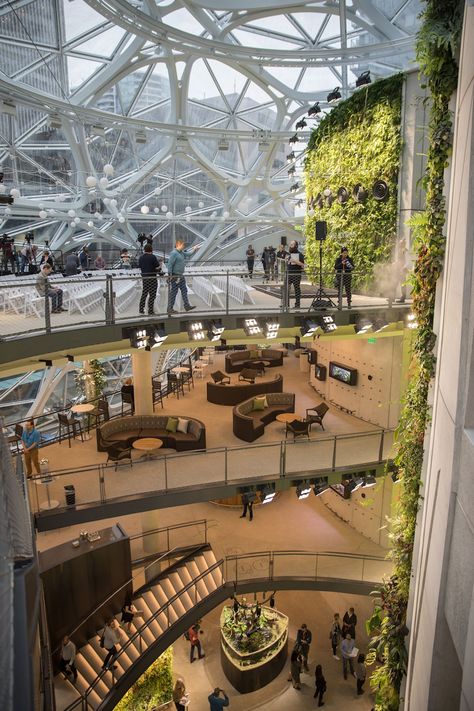 Amazon Spheres, Seattle Architecture, Atrium Design, Interior Design Plants, Summer Nature Photography, Loft Interior, Creative Interior Design, Mall Design, Architecture Concept Diagram