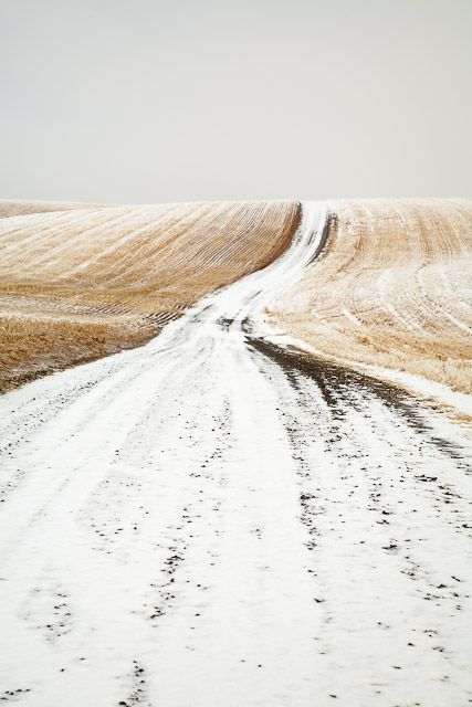 인물 드로잉, Dirt Road, First Art, Foto Inspiration, Jack Frost, Beautiful World, In The Middle, The Great Outdoors, The Middle