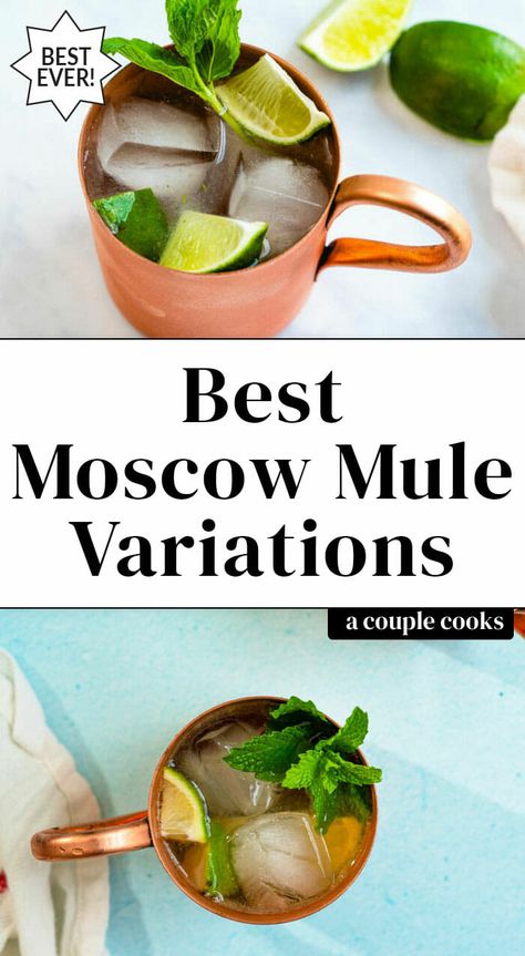 Here are all the best Moscow mule variations to try! These types of mules are the most popular riffs on this classic drink. #moscowmule #mulevariations #kentuckymule #mexicanmule #irishmule #ginginmule #cocktails #cocktail Mule Variations, Moscow Mule Variations, Best Moscow Mule, Kentucky Mule, Mule Drink, Moscow Mules, A Couple Cooks, Mule Cocktail, Vegan Recipes Plant Based