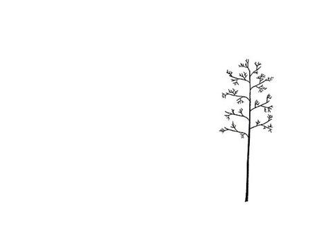 Aspen Trees Tattoo, Aspen Trees Photography, Tree Tattoo Art, Tree Line Drawing, Palm Tree Tattoo Ankle, Simple Tree Tattoo, Minimalist Tree, Tree Sketch, Pine Tree Tattoo