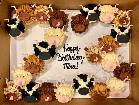 Highland Cow Cake, Cow Cupcakes, Cow Cake, Cow Cakes, Highland Cows, So Adorable, Highland Cow, Our Love, Kids Birthday