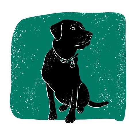 Labrador Lino Print, Black Lab Illustration, Bode Jacket, Labrador Illustration, Black Lab Art, Pitbull Lab Mix, Lino Ideas, Pet Drawings, Dog Stencil