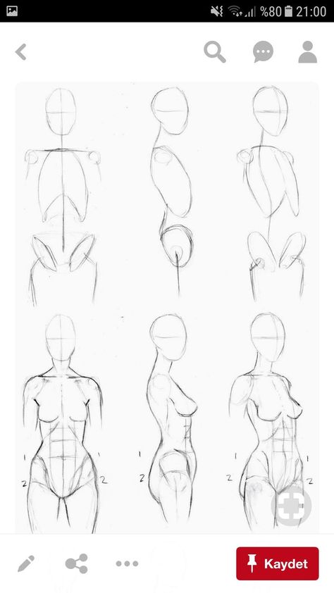 Lean Female Reference, Human Torso Reference, Male Vs Female Anatomy, Woman Body Sketch, Side View Drawing, Figure Drawing Tutorial, Art Of Drawing, Female Anatomy Reference, Human Body Drawing