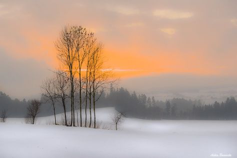 Wärme und Kälte... (explored) | Achim Brennecke | Flickr Beautiful Snow Scenes, Winter Landscape Photography, Beautiful Winter Scenes, Snow Landscape, Sun Painting, Winter Landscape Painting, Winter Watercolor, Minimalist Landscape, Landscape Photography Nature