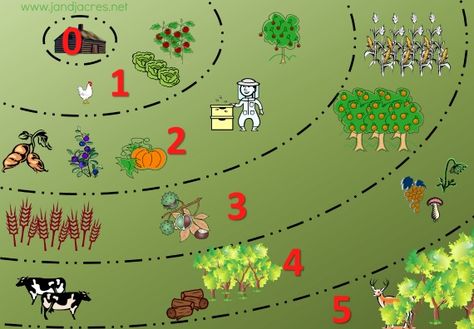 Can a place be to small for permaculture zones, or do all zones have to be on own property. Some thoughts on permaculture zones on 1/8 of an acre lot. Casa Hobbit, Permaculture Principles, Farm Plans, Farm Layout, Garden Calendar, Permaculture Design, Permaculture Gardening, Food Forest, Farm Design