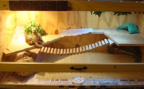 10 Inspiring Bearded Dragon Cage Setup and Decor Ideas Diy Bearded Dragon Cage, Bearded Dragon Setup, Diy Bearded Dragon Enclosure, Lizard Cage, Bearded Dragon Vivarium, Bearded Dragon Terrarium Ideas, Bearded Dragon Diy, Bearded Dragon Terrarium, Bearded Dragon Enclosure