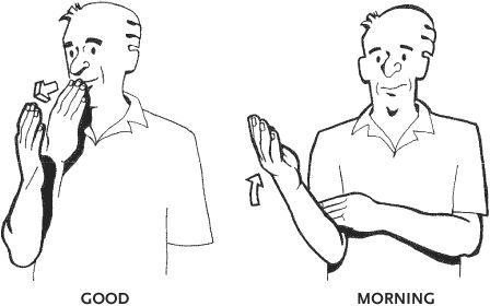 American Sign Language good morning  American Sign Language Phrase Book, Third Edition, by Lou Fant and Barbara Bernstein Fant, illustrations by Betty G. Miller, The McGraw-Hill Companies    Read more: http://www.answers.com/library/American+Sign+Language-letter-1C#ixzz23G4eFmIo Asl Good Morning, Good Morning In Sign Language, Signs Language, Sign Language Letters, Simple Sign Language, Sign Language Book, Asl Sign Language Words, Sign Language Phrases, Sign Language Words