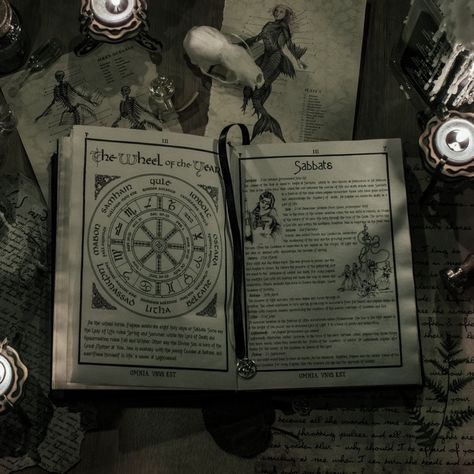 Kingdom Of The Wicked Emilia, Grimoire Aesthetic, Journal Pages Aesthetic, Kingdom Of The Wicked, Witchy Academia, Grimoire Book, Yennefer Of Vengerberg, Witch Academia, Magic Aesthetic