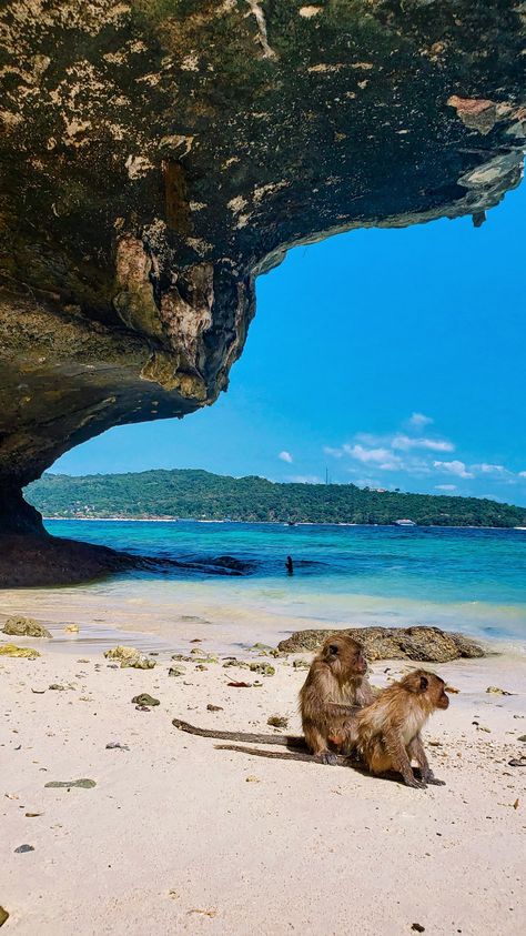 Monkey Beach, Krabi, Thailand 🇹🇭 Monkey Beach Thailand, Thailand Monkey, Krabi Beach, Thailand Krabi, Thai Beach, Gap Year Travel, Thailand Itinerary, Thailand Trip, Cute Summer Wallpapers