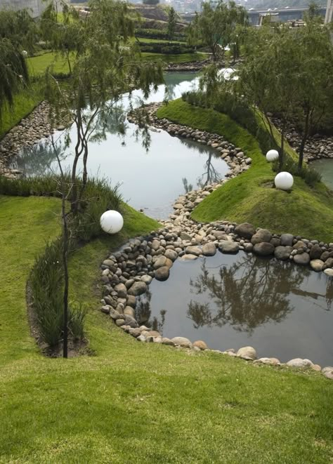 Residential Landscape, Wetland Park, Park Landscape, Landscape Architecture Design, Home Garden Design, Garden Architecture, Urban Park, Full Picture, Rain Garden