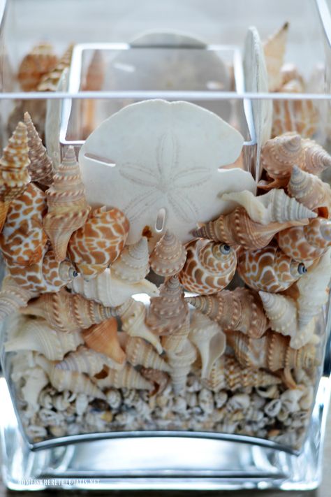 DIY seashell vase flower arrangement | ©homeiswheretheboatis.net #flowers #shells #beach #DIY Sea Shells In Glass Vases, Seashell Arrangements, Diy Summer Flower Arrangements, Beach Arrangements, Seashell Vase, Net Flowers, Seashell Centerpieces, Shell Centerpieces, Summer Flower Arrangements