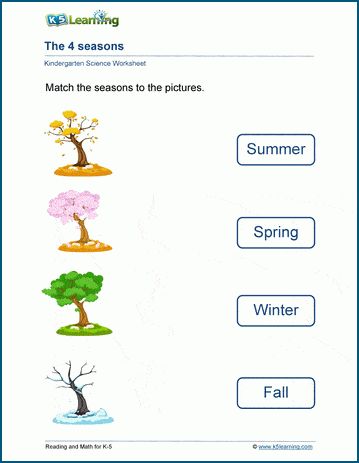 4 Seasons Worksheet, Seasons Of The Year Printables, Seasons Worksheets For Kindergarten, Seasons Kindergarten, Science Kindergarten, Free Science Worksheets, Seasons Name, Plants Worksheets, Seasons Worksheets