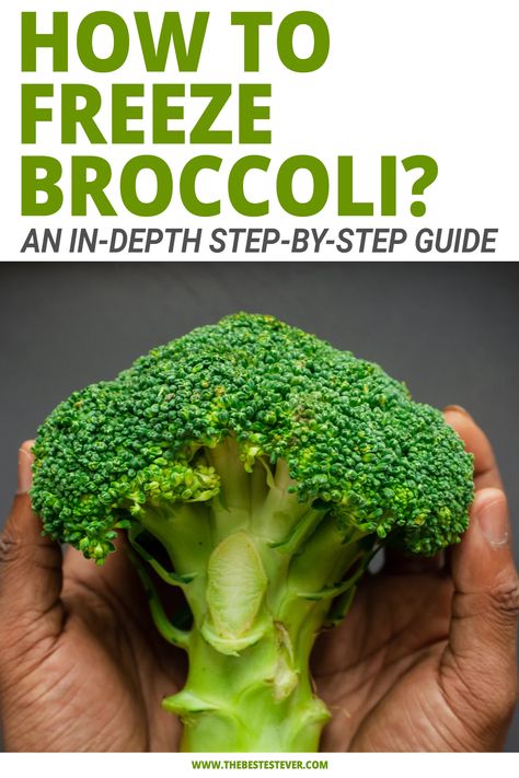 How To Keep Broccoli Fresh Longer, Freezing Asparagus, Vegetable Packaging, Preserving Vegetables, Freezing Vegetables, Freezable Meals, Frozen Broccoli, Bulk Food, Fresh Broccoli