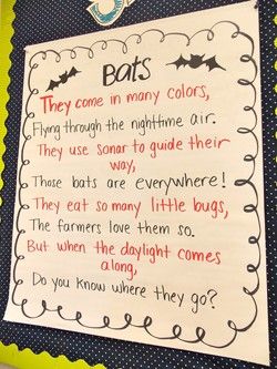 Bat Poems, Spider Lessons, Spiders Preschool, Kindergarten Poetry, October Kindergarten, Bats Unit, Spider Unit, Spider Fact, The Very Busy Spider